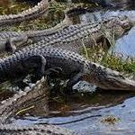 Everglades National Park