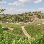 Temecula Wineries