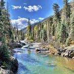 Vallecito Creek Trail