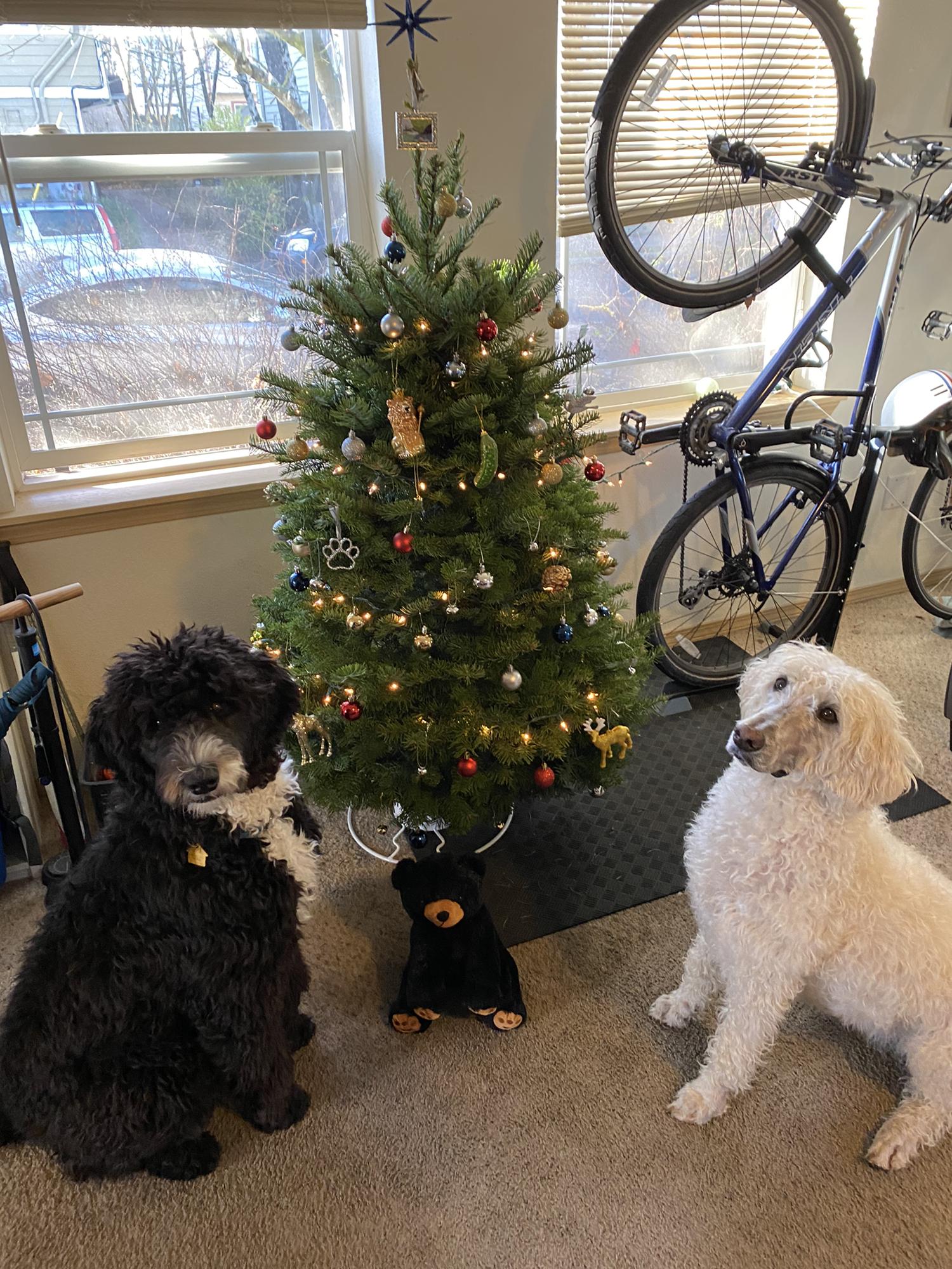Our first christmas as a family of 4! and Freya's 1st birthday!!