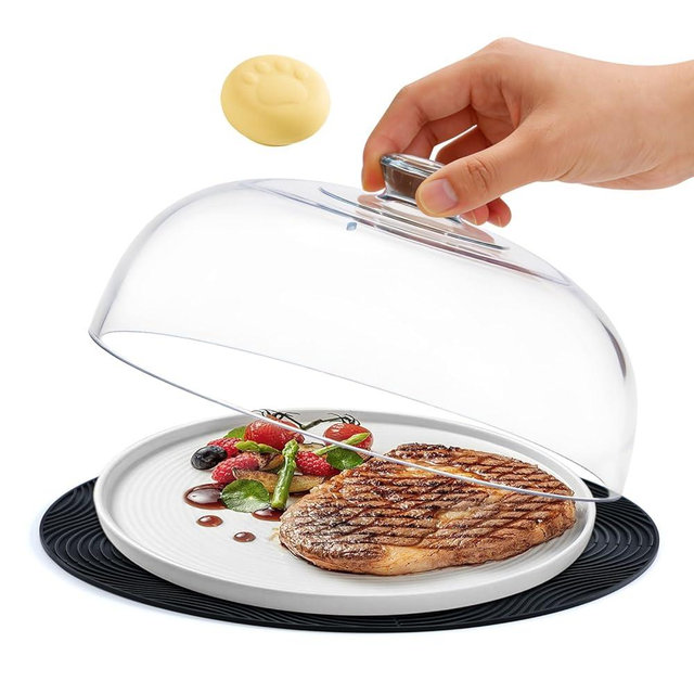 WENWELL Glass Microwave Splatter Cover with Silicone Mat, 10Inch Plate Splatter Food Lid with Integrated Grip Handle and Vent Hole, BPA Free, Dishwasher Safe