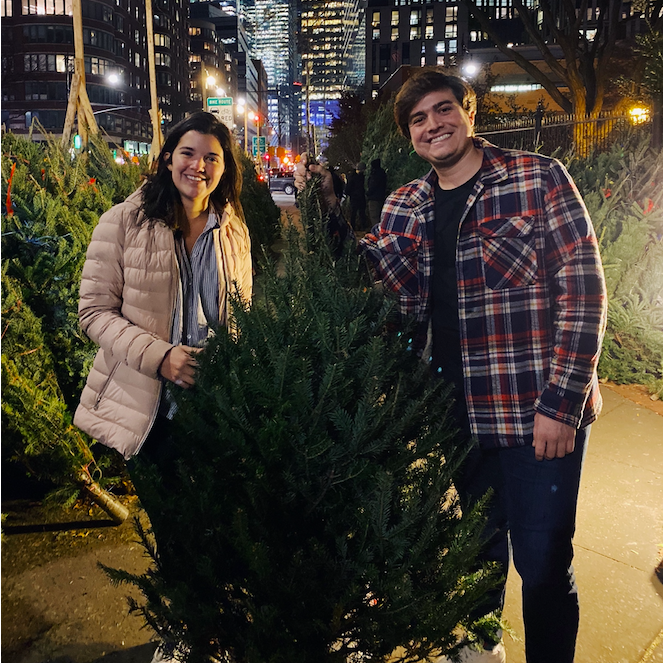 noviembre 2019