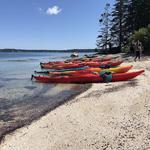 Port Clyde Kayaks and Stand Up Paddle
