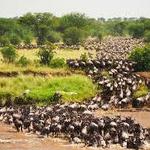 Maasai Mara National Reserve