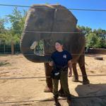 Memphis Zoo