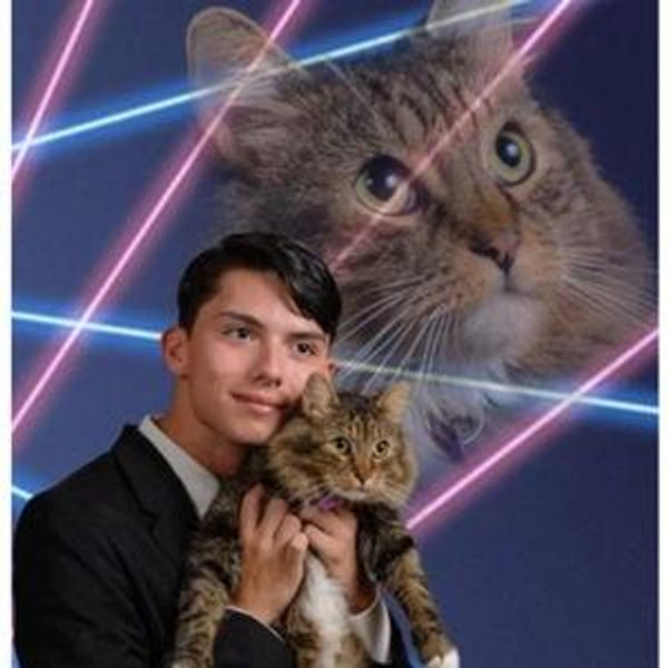 Feline glamour shots fund - Venmo