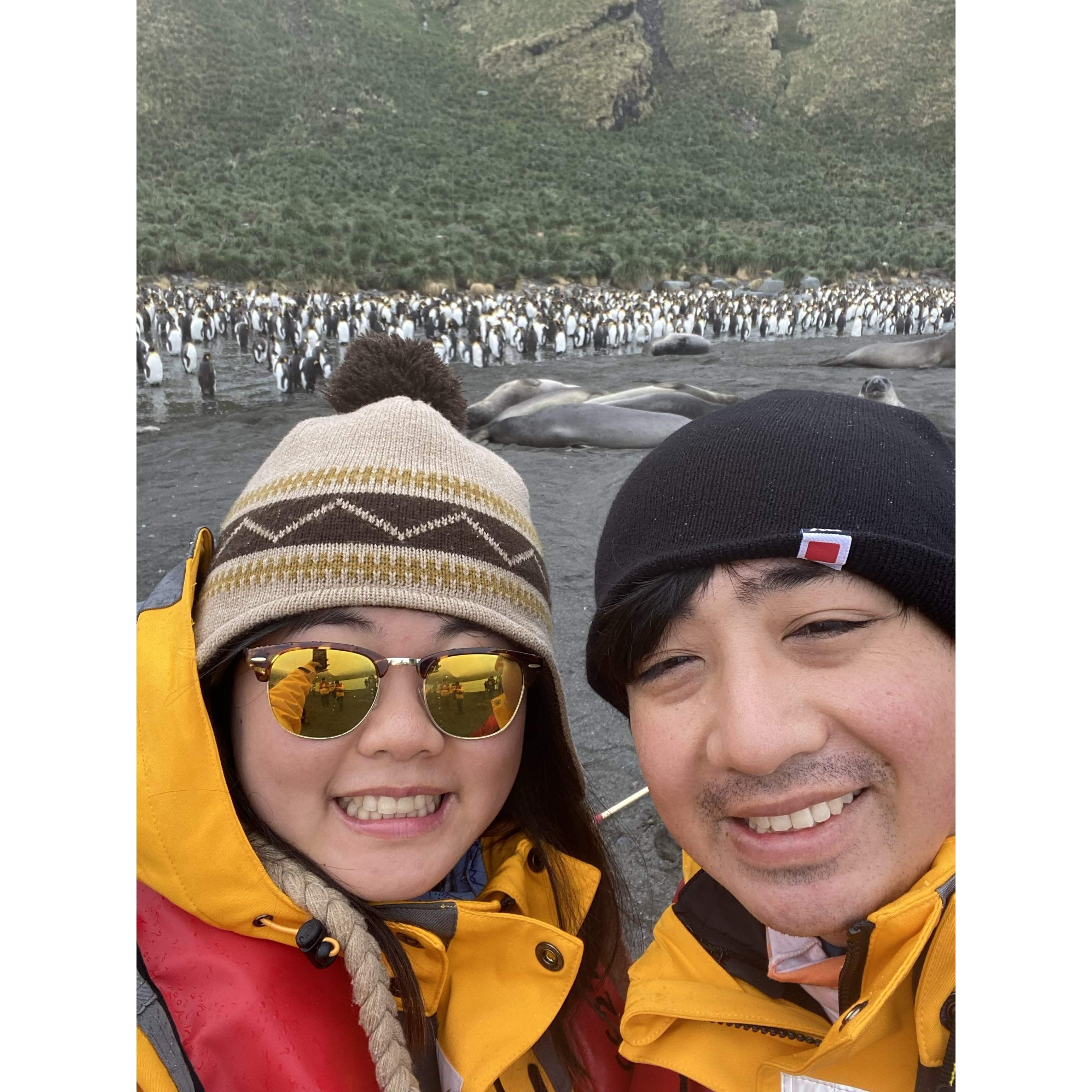 Selfie with king penguins and elephant seals in South Georgia in 2020.