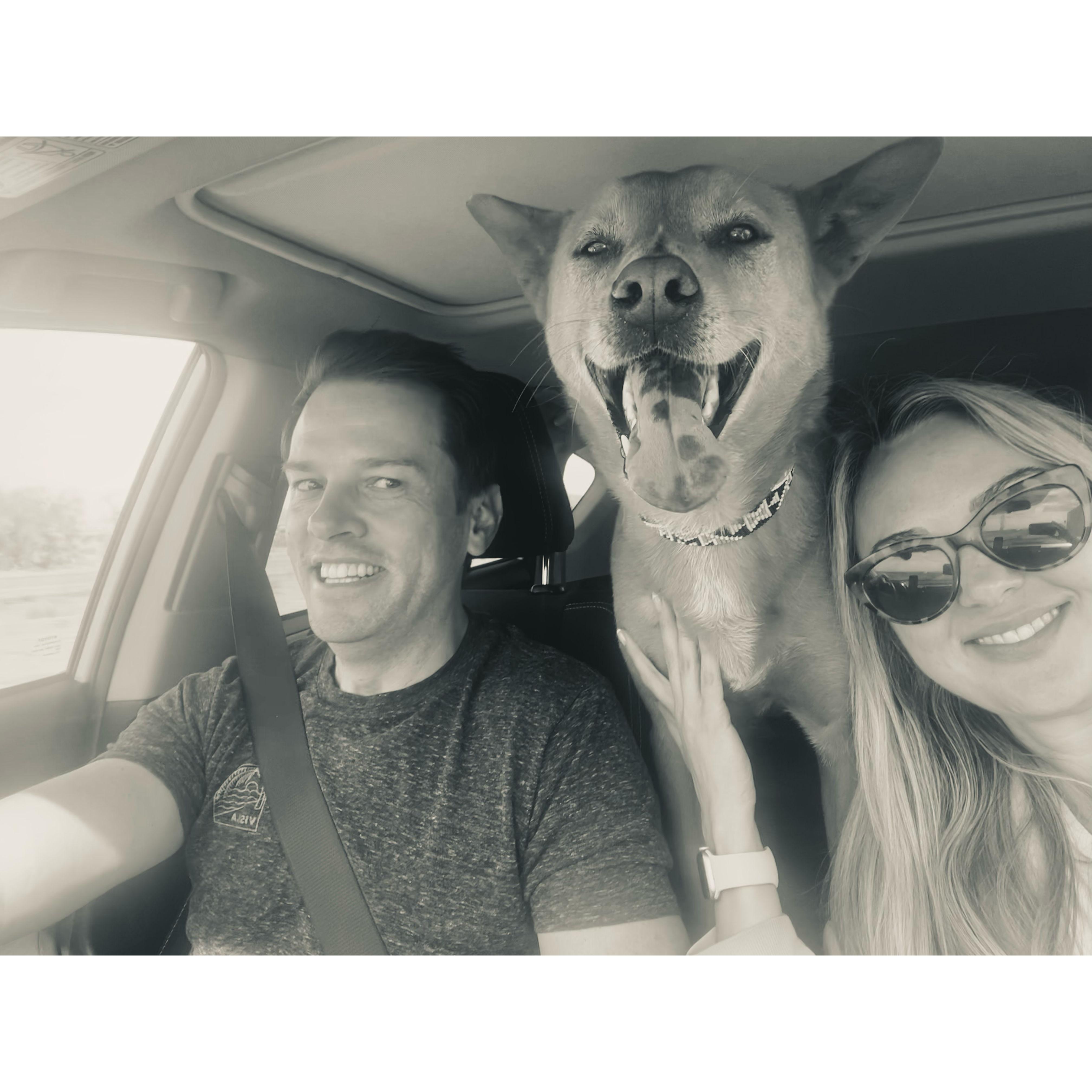 Every road trip needs a co-pilot and back seat driver.
