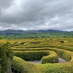 The Peace Maze