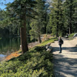 Angora Lake Trail