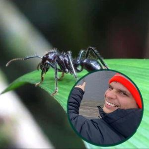 The "Jungle Night-Watch" (Brian’s Survival Edition)