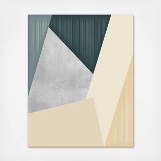Misted Vision Canvas Print