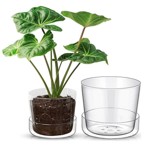 SHEER POTS Sheer Glass Pot Planter with Drainage Holes & Tray - Decorative & Modern for All House Plants (6 & 8 Inches)