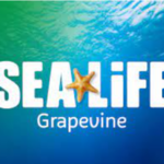 SEA LIFE Grapevine Aquarium