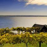 Cayuga Lake Wine Trail
