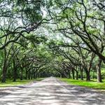 Wormsloe Historic Site