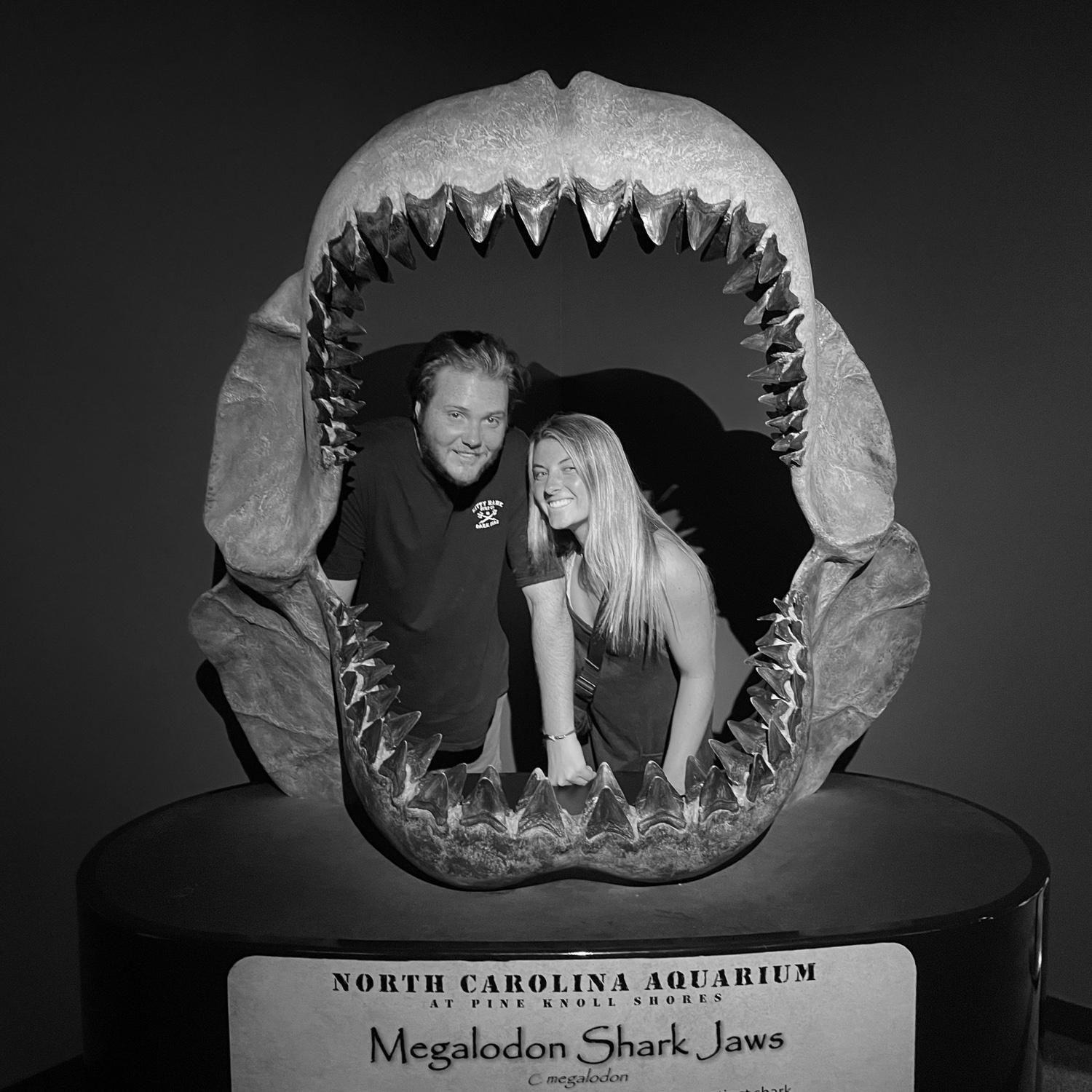 Emerald Isle Aquarium