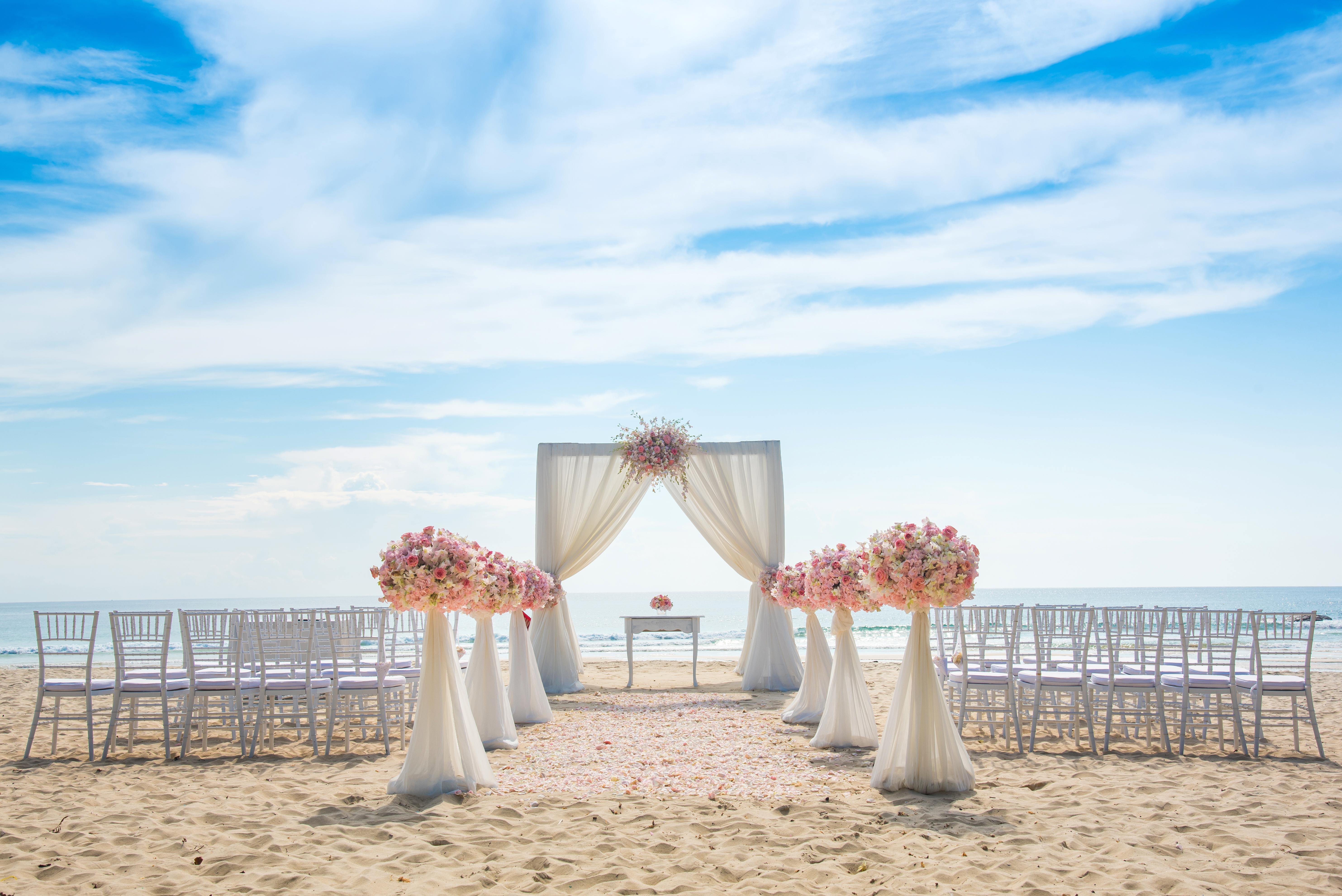 The Wedding Website of Rachel Belgiorno and Bill Wardin