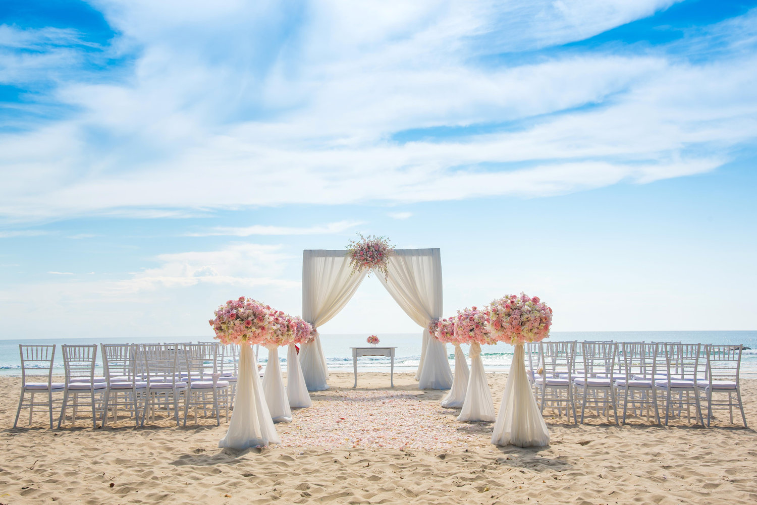 The Wedding Website of Rachel Belgiorno and Bill Wardin