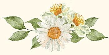 The Wedding Website of Jacob Bixby and Naomi Frohloff