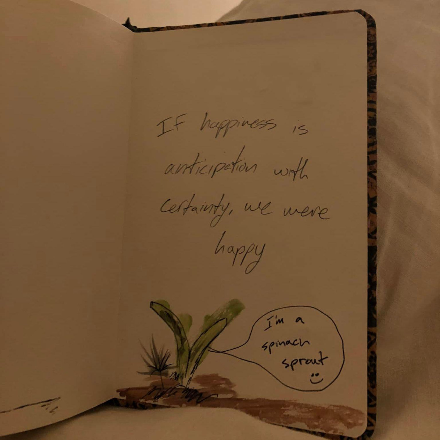 "If happiness is anticipation with certainty, we were happy."