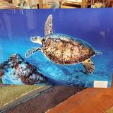 Local Art Galleries