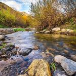 Santa Margarita River Trail Preserve