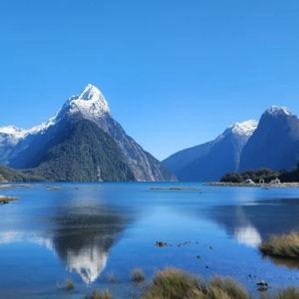 New Zealand Honeymoon Fund