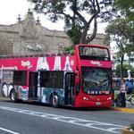 Red Tour Buses