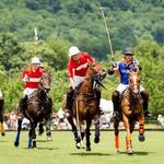 Polo at King Family Vineyards