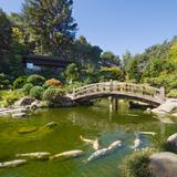 Hakone Estate and Gardens