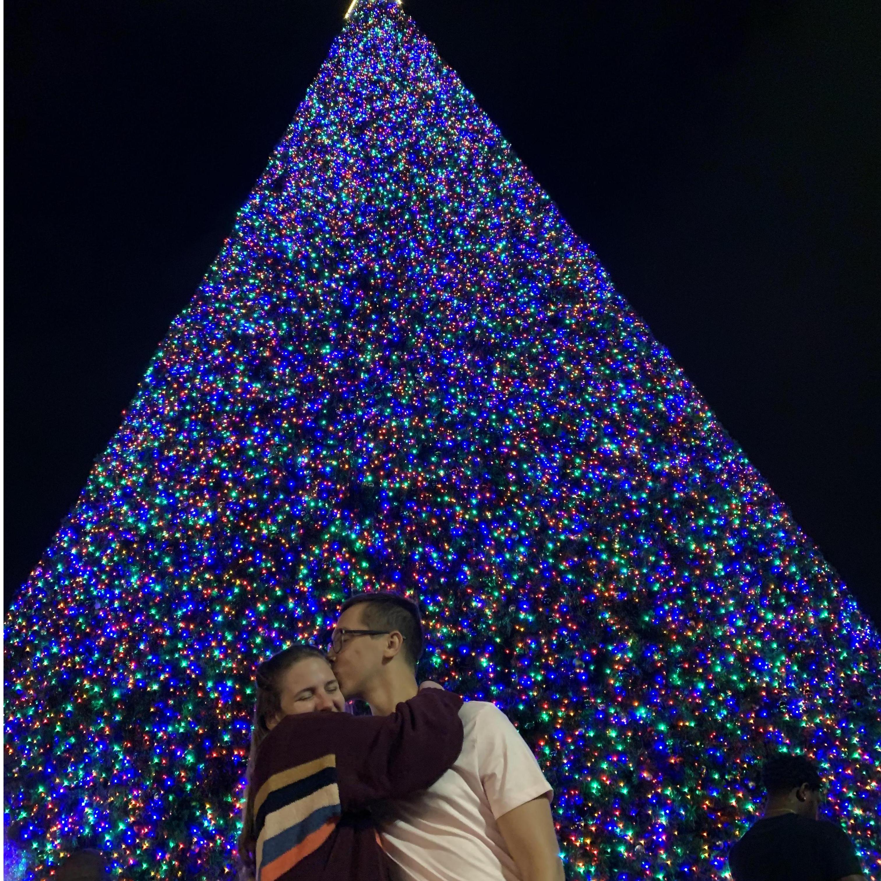 Christmas in Florida