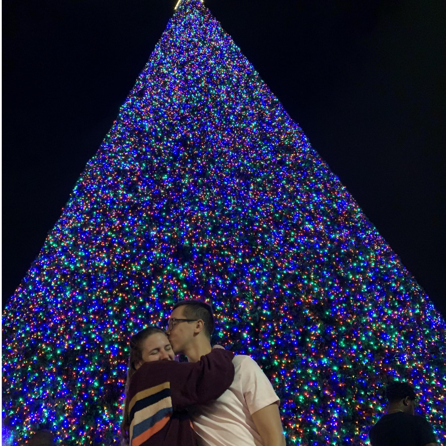 Christmas in Florida