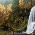 Silver Falls State Park