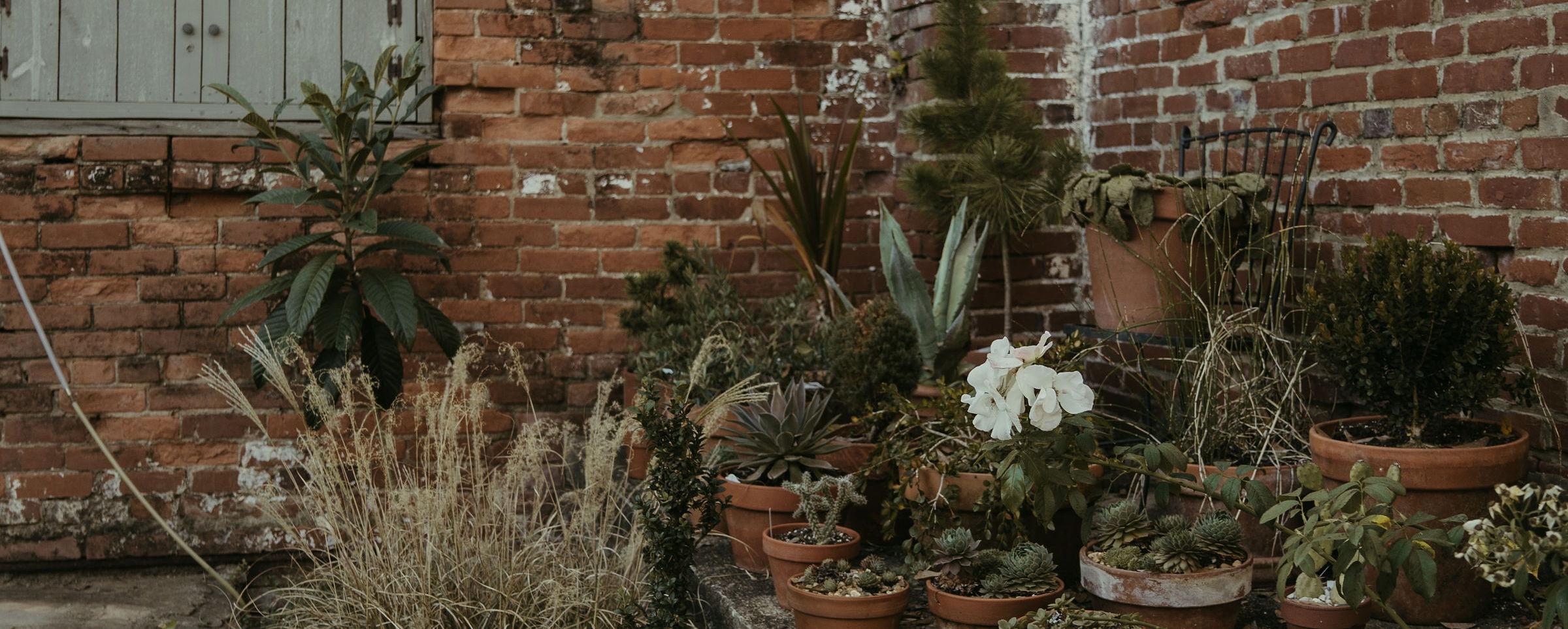 The Wedding Website of Rodrigo Palomino Montoya and Ann Manley