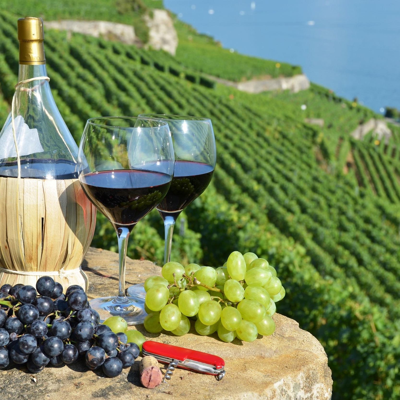 Wine Tasting