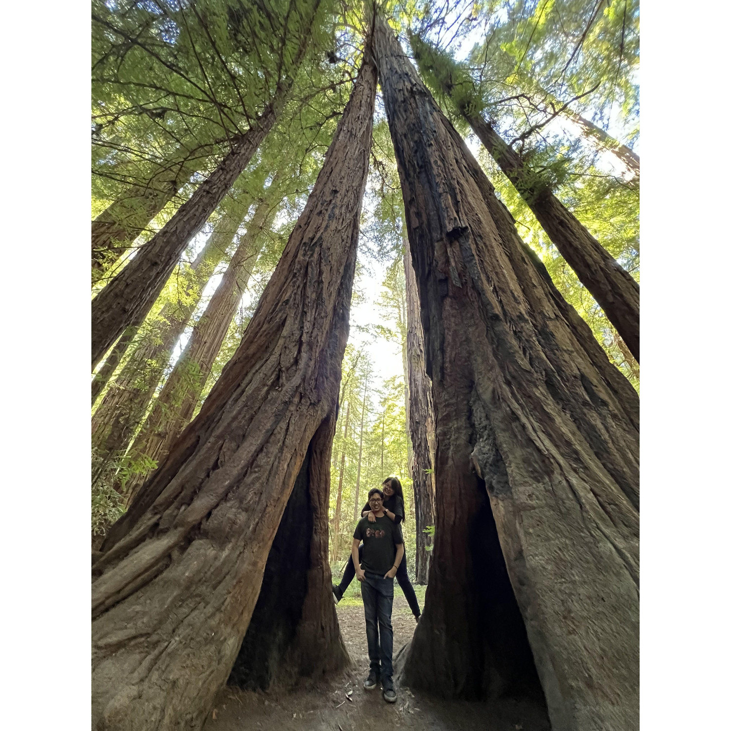 Little hike at the redwoods ~
