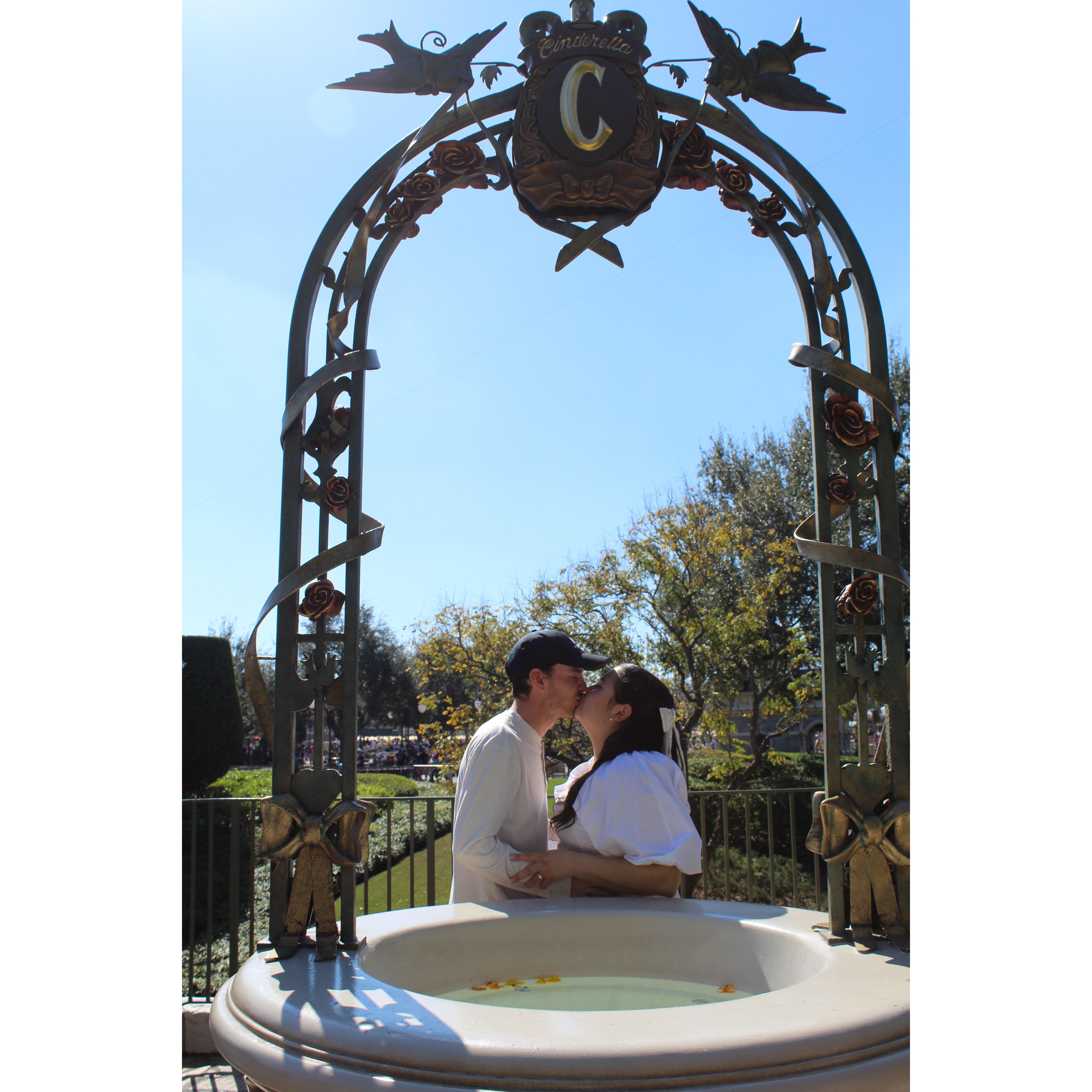 The wishing well at the Magic Kingdom, where we met and fell in love.