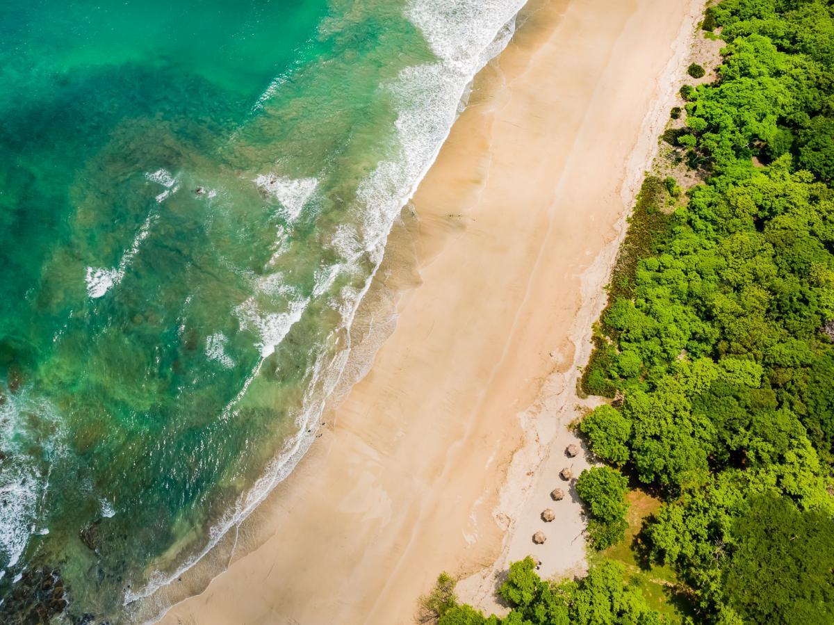 The Wedding Website of Erin Higgins and Marco Barboza