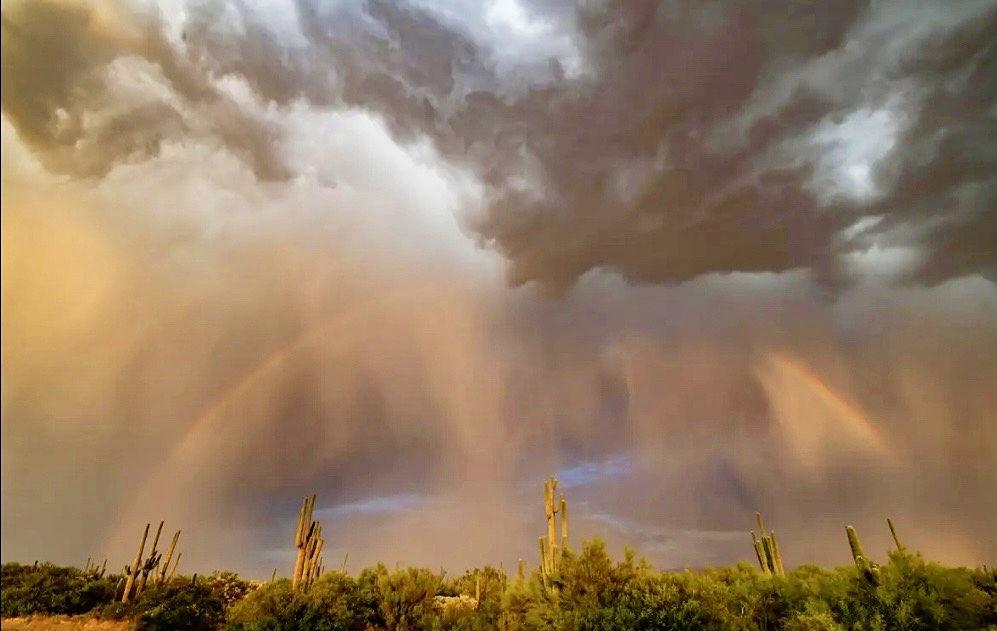 The Wedding Website of Ryan Brzycki and Marina Mutter