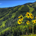 Mount Werner - scenic hike