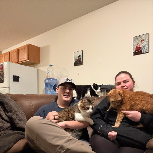 Help us get our fur babies a new cat tree