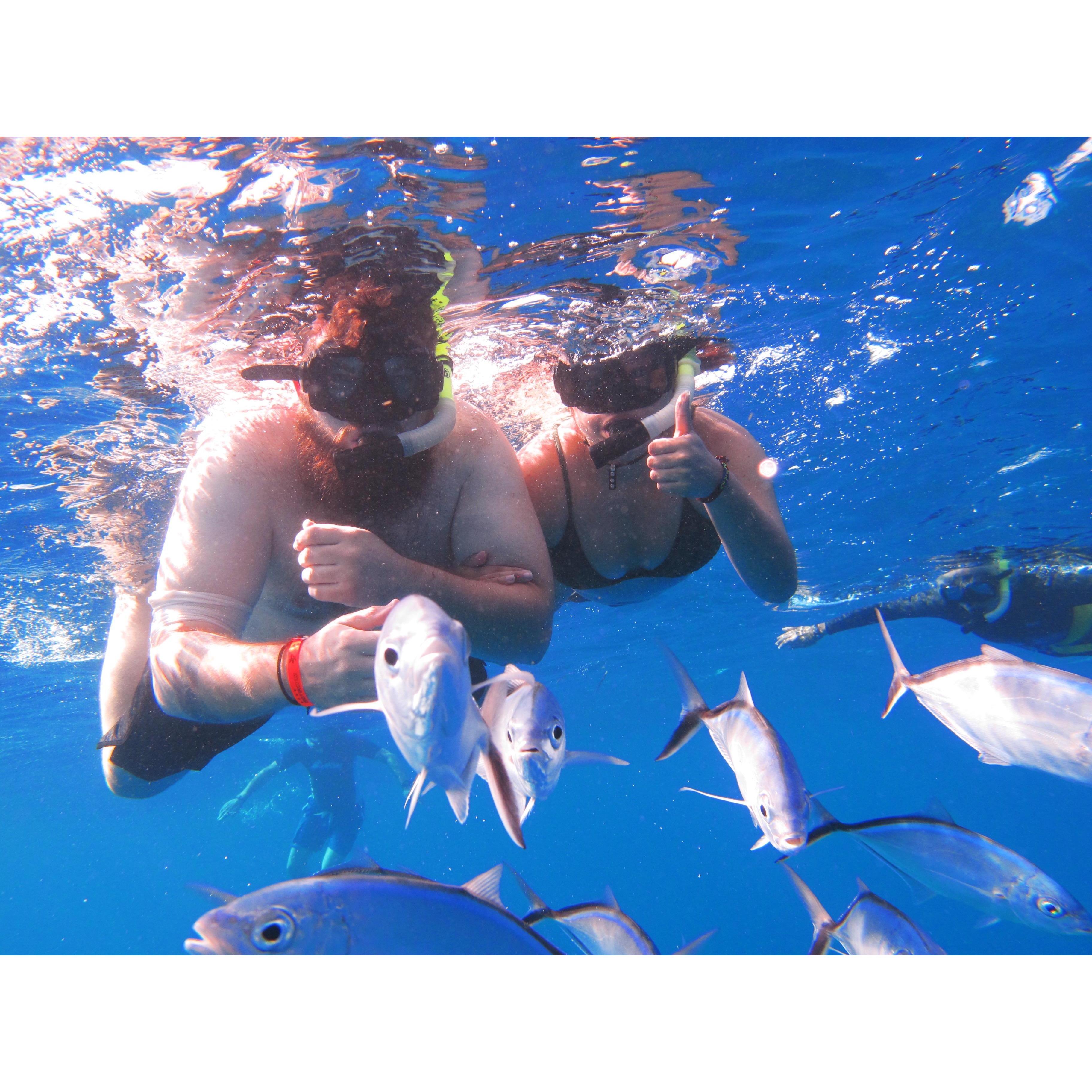 Snorkeling in The Gulf of Mexico