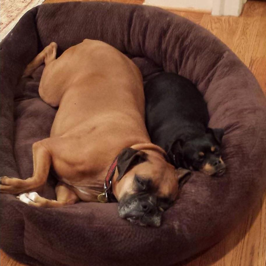 Greta and Mooney :)