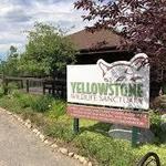 Yellowstone Wildlife Sanctuary