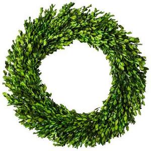 21.2" Dried Boxwood Leaves Wreath Green - Smith & Hawken™