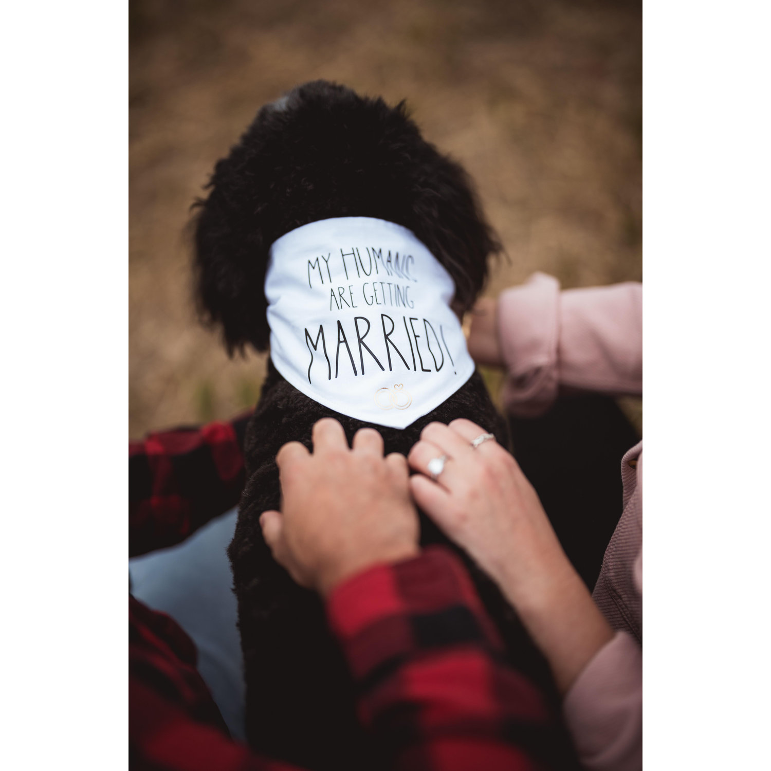 A special bandana from Auntie Danielle and Uncle Kai to celebrate!