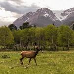 Rocky Mountain National Park (RMNP)