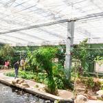 Butterfly Wonderland