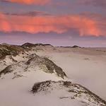 Guadalupe-Nipomo Dunes Center